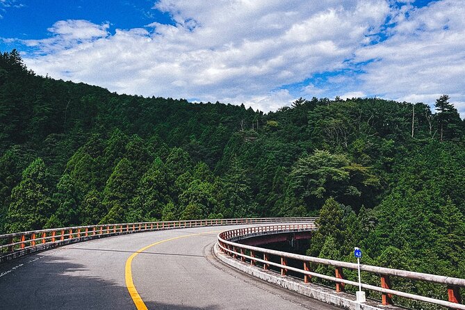 Mt. Fuji, Hakone Private Tour from Tokyo - Onsen, Arts and Nature - Hakone Shrine and Lake Ashi bring in the cultural side