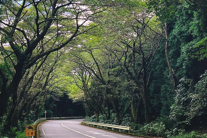 Mt. Fuji, Hakone Private Tour from Tokyo - Onsen, Arts and Nature - Amazake Chaya is the most distinctive short stop