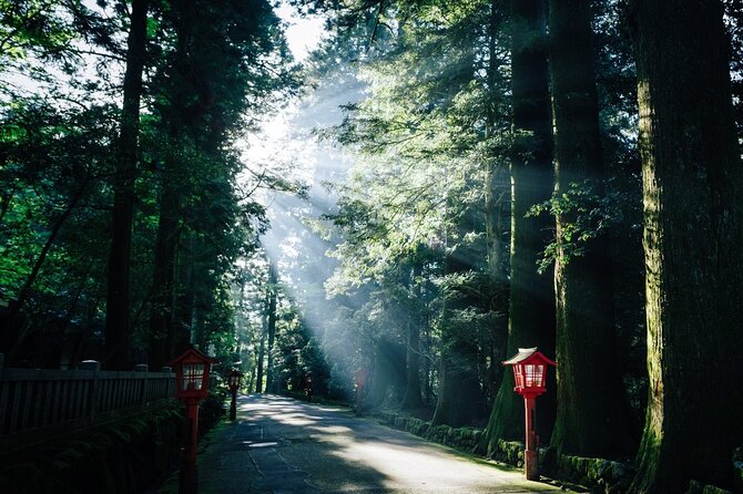 Mt. Fuji, Hakone Private Tour from Tokyo - Onsen, Arts and Nature - The onsen is the day’s main pause