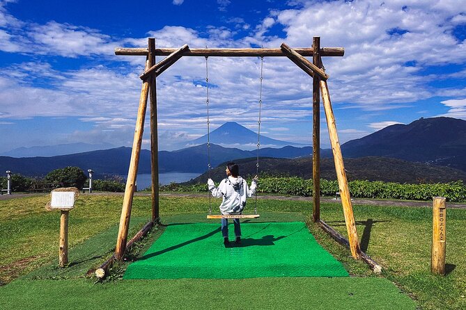 Mt. Fuji, Hakone Private Tour from Tokyo - Onsen, Arts and Nature - Lunch is flexible, but it costs extra