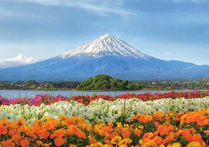 Mt. Fuji Heritage Tour: Traditional Villages, Lakes & Shrine - Arakurayama Sengen Park and the climb to Chureito Pagoda