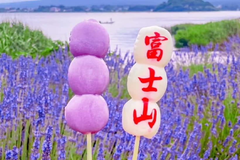 Mt. Fuji Heritage Tour: Traditional Villages, Lakes & Shrine - Lunch, timing, and the reality of a shared coach