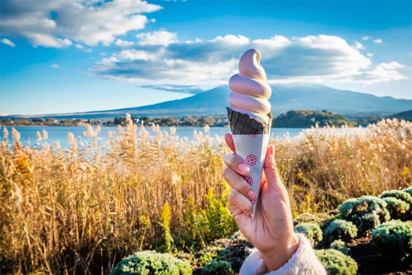 Mt. Fuji Heritage Tour: Traditional Villages, Lakes & Shrine - Weather, photos, and how to prepare