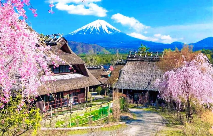 Mt. Fuji Heritage Tour: Traditional Villages, Lakes & Shrine - The long ride from Tokyo to Fuji country