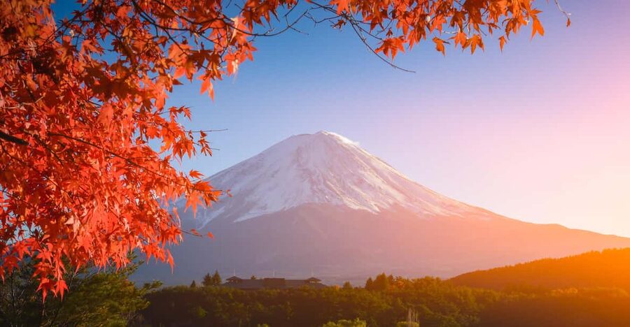 MT.Fuji: Mount Fuji Private day Tour With Guide - Oishi Park and a view with flowers