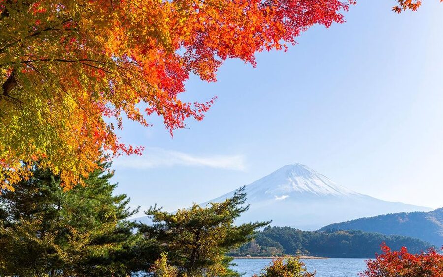 Mt Fuji : Private 10-Hour Luxury Tour by Exclusive Car - Who should book this private tour?