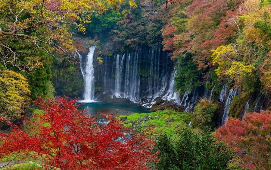 Mt Fuji : Private 10-Hour Luxury Tour by Exclusive Car - Leaving Tokyo for the Fuji region