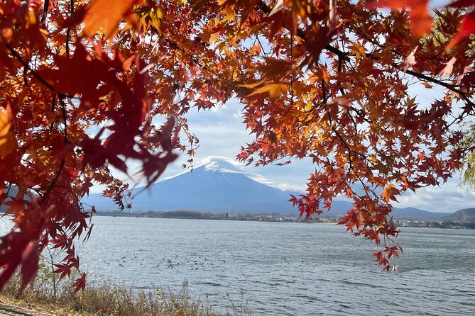 Mt Fuji Private Tour with English Speaking Driver - Starting in Asakusa and Reaching the Fuji Area