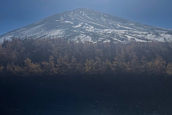 Mt Fuji Private Tour with English Speaking Driver - Lake Kawaguchiko and Oishi Park