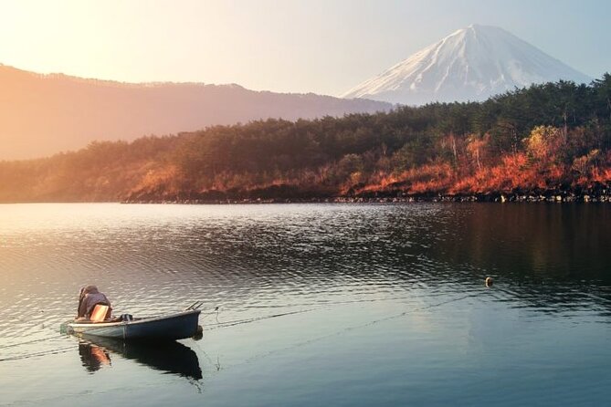 Mt Fuji Private Tour with English Speaking Driver - The Mt. Fuji Panoramic Ropeway