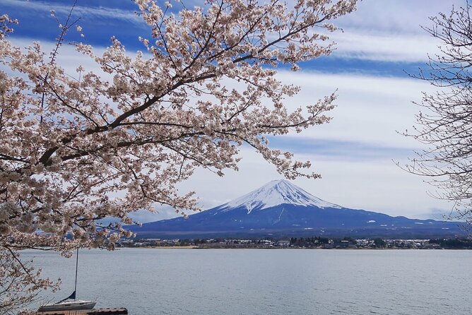 Mt Fuji Private Tour with English Speaking Driver - Oshino Hakkai and the Fuji Sengen Shrines