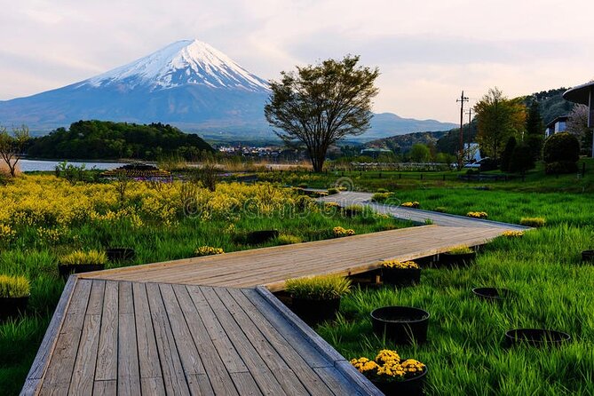 Mt Fuji Private Tour with English Speaking Driver - Lunch and the Value of Local Suggestions
