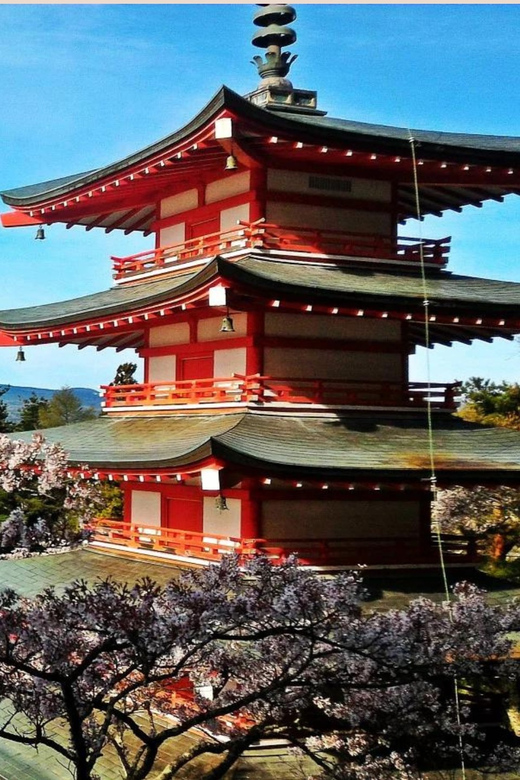 Mt Fuji Sightseeing Private tour with English Speaking Guide - What your guide adds to the day