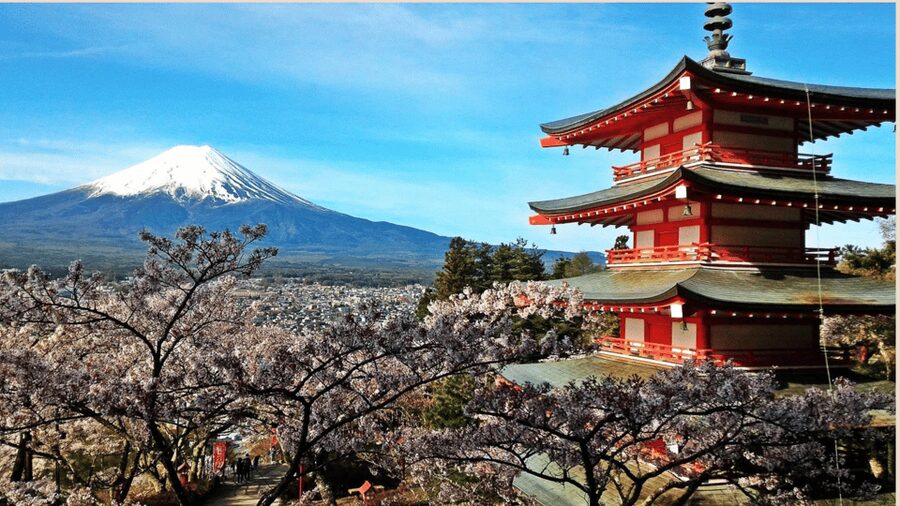 Mt Fuji Sightseeing Private tour with English Speaking Guide - Is $381 good value for three people?