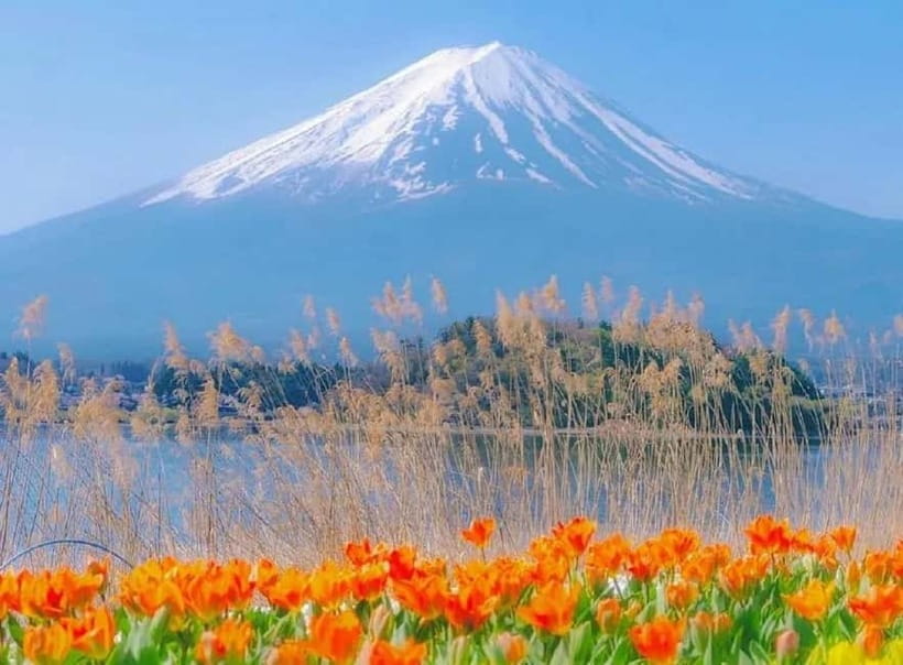 Mt Fuji Top 5 Spots Day Tour: Arakurayama Park,Oshino Hakkai - A Fuji day built around five different views