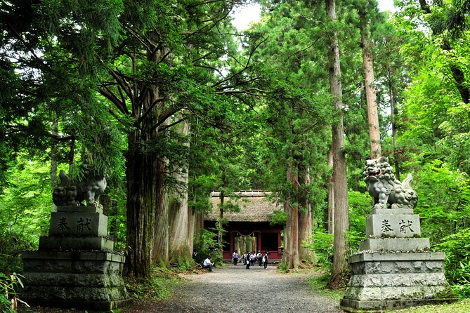 Nagano All Must-Sees 4hr Private Tour with Licensed Guide - What four hours really buys you