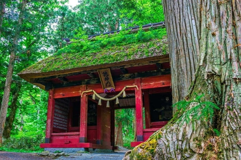 Nagano: Snow Monkeys & Togakushi Shrine Two-Spot in-One Day - Who should book this day