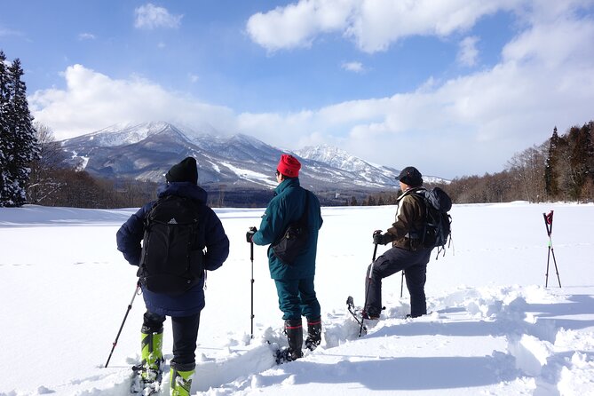 Nagano Snowshoe Hiking Tour - What the guide adds to the day