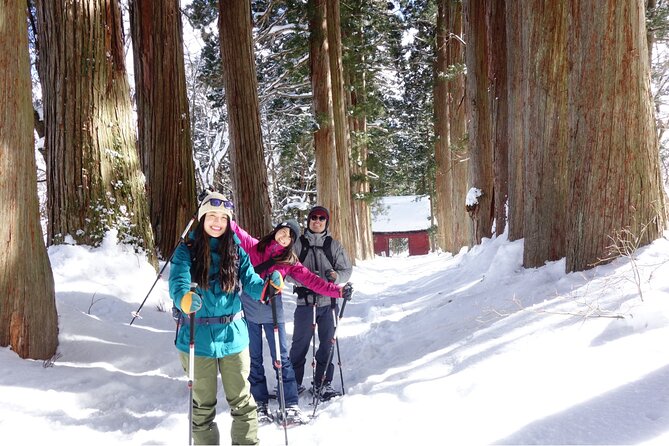 Nagano Snowshoe Hiking Tour - Finding a giant tree in winter-only country