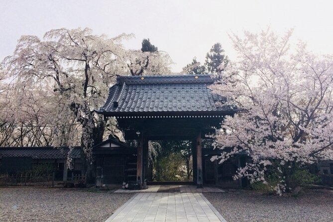 Nagano Spring: 1-Day Cherry Blossoms & Snow Monkeys Guided Tour - Two hours with the macaques at Jigokudani