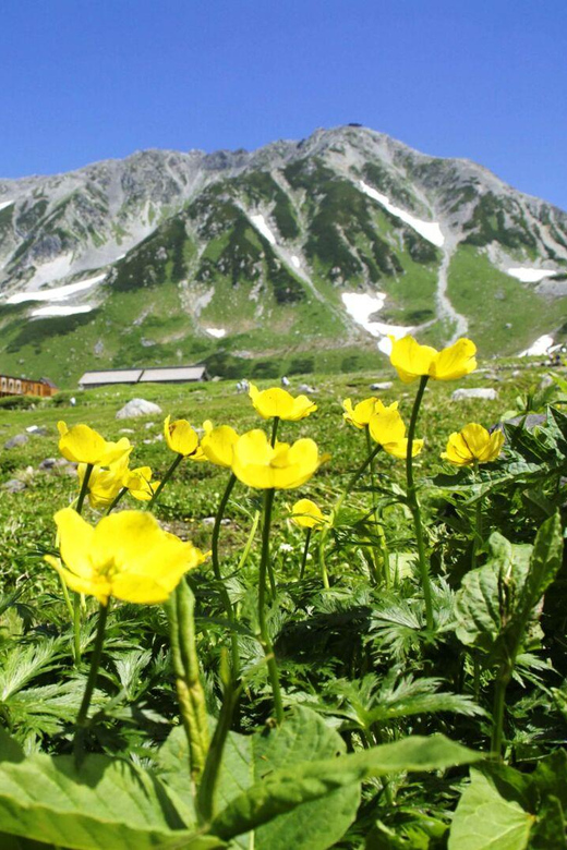 Nagano: Tateyama-Kurobe Guided Walking Tour - The return trip and the real cost of the day