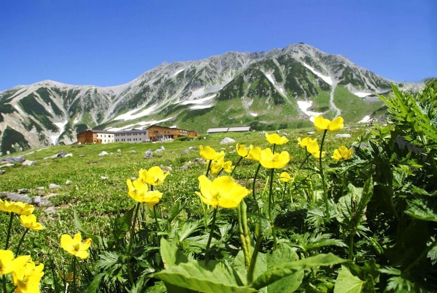 Nagano: Tateyama-Kurobe Guided Walking Tour - Meeting in Nagano at 8:15
