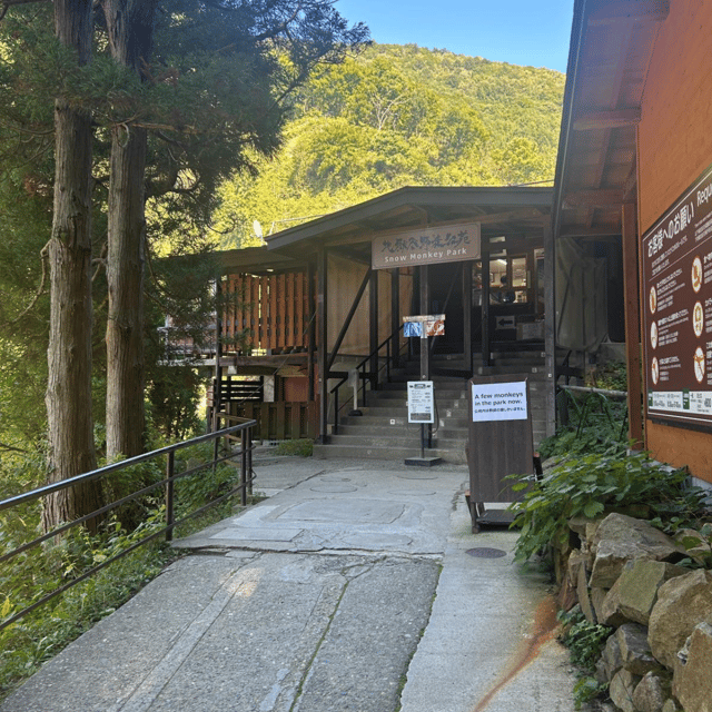 Nagano/Tokyo: Snow Monkey Private Day Tour At Lowest Rate - Why the snow monkeys are the main event