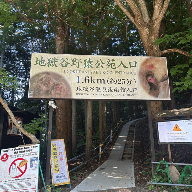 Nagano/Tokyo: Snow Monkey Private Day Tour At Lowest Rate - Start early for the best chance at a full day