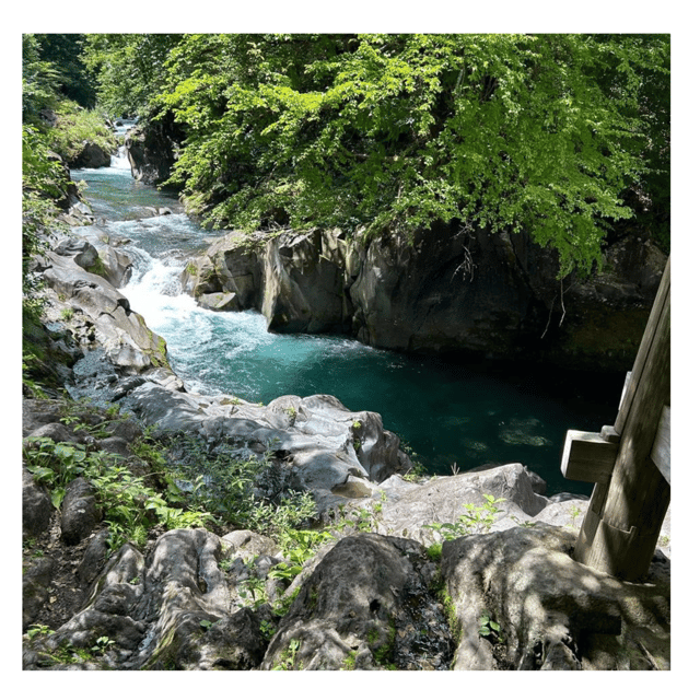 Nagano/Tokyo: Snow Monkey Private Day Tour At Lowest Rate - Shibu Onsen adds a traditional hot-spring-town stop