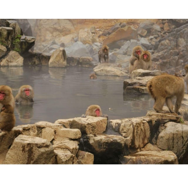 Nagano Tokyo: Snow Monkey Private Day Tour Hotel Pick & Drop - Zenkoji Temple gives the day a spiritual center