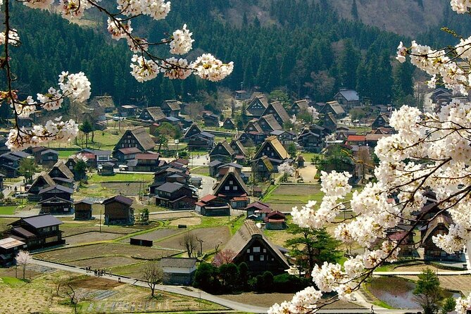 Nagoya: 2026 Hida Takayama Shirakawa-go Light-up Winter Tour - Who should book this experience