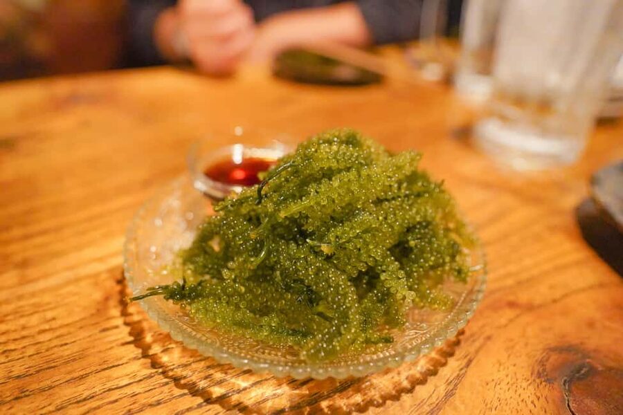 Naha Bar Hopping Tour in Okinawa - Who should book this Naha night out?