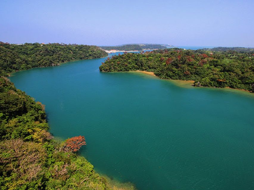 Naha: North Okinawa Sightseeing Tour & Churaumi Aquarium - Key points to know