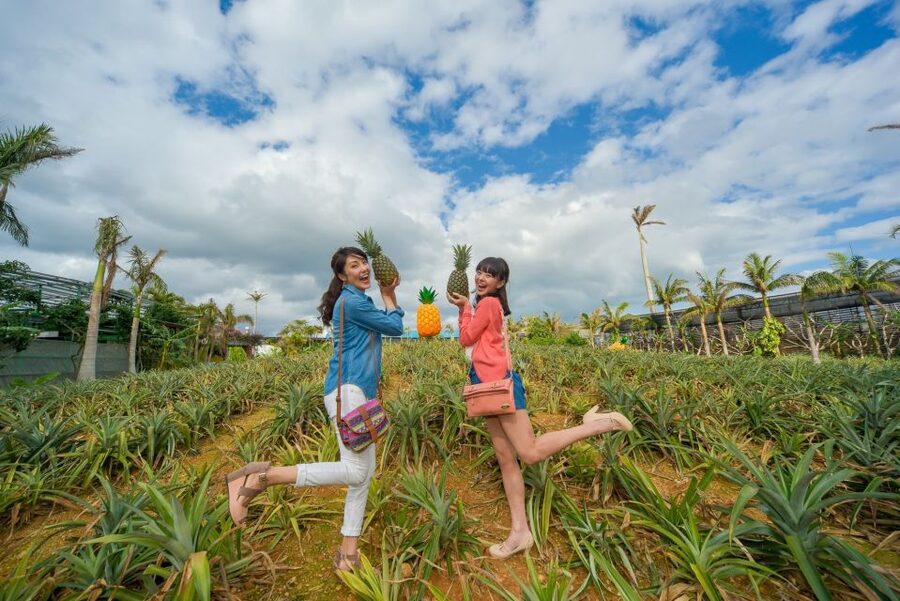 Naha: North Okinawa Sightseeing Tour & Churaumi Aquarium - Why this $50 day trip works so well without a car