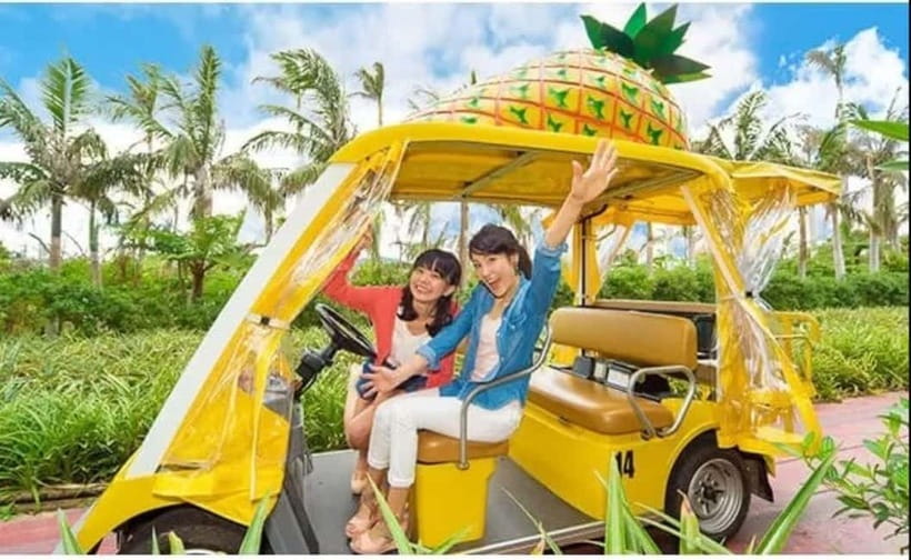 Naha: North Okinawa Sightseeing Tour & Churaumi Aquarium - The audio guide gives you freedom, with one caveat