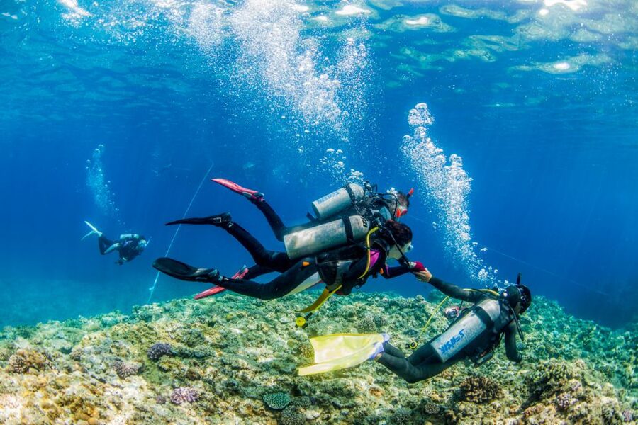 Naha, Okinawa: Kerama Islands Full-Day Intro-Diving Trip - Should you book the Kerama Islands trip?