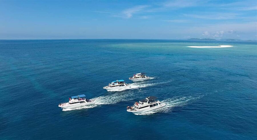 Naha, Okinawa: Kerama Islands Half-Day Whale Watching Tour - Who will enjoy this tour most