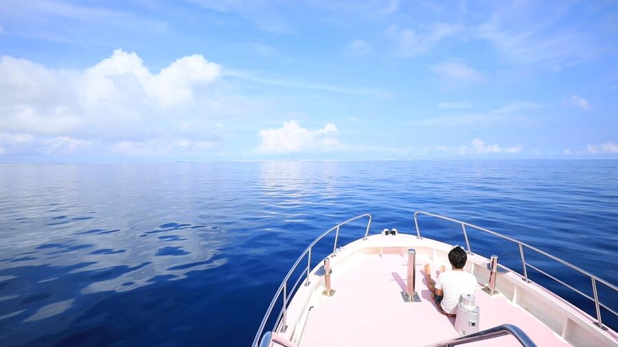 Naha, Okinawa: Kerama Islands Half-Day Whale Watching Tour - Hotel pickup keeps the morning simple