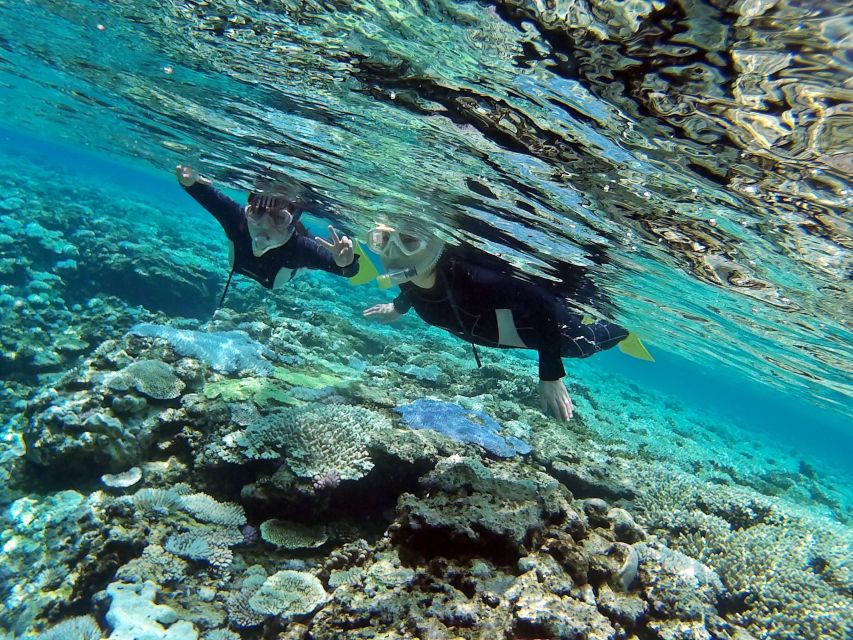 Naha, Okinawa: Keramas Island Snorkeling Day Trip with Lunch - Practical booking advice