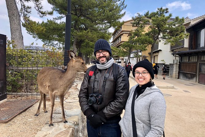 Nara 6hr Private Tour with Government-Licensed Guide - What this private Nara tour really offers
