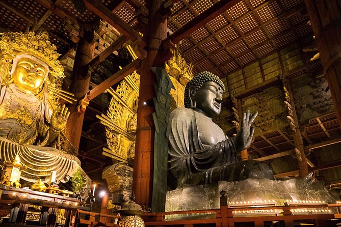 Nara 6hr Private Tour with Government-Licensed Guide - Todaiji and the Great Buddha