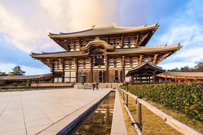 Nara Afternoon Tour from Kyoto or Osaka - Todai-ji and the Great Buddha