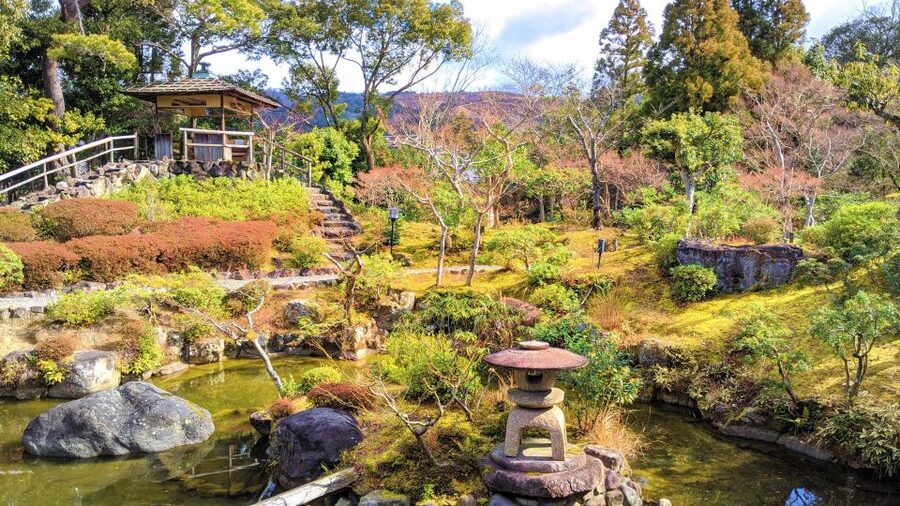 Nara: City Highlights Shared Group or Private Bike Tour - Why a bicycle makes sense in Nara