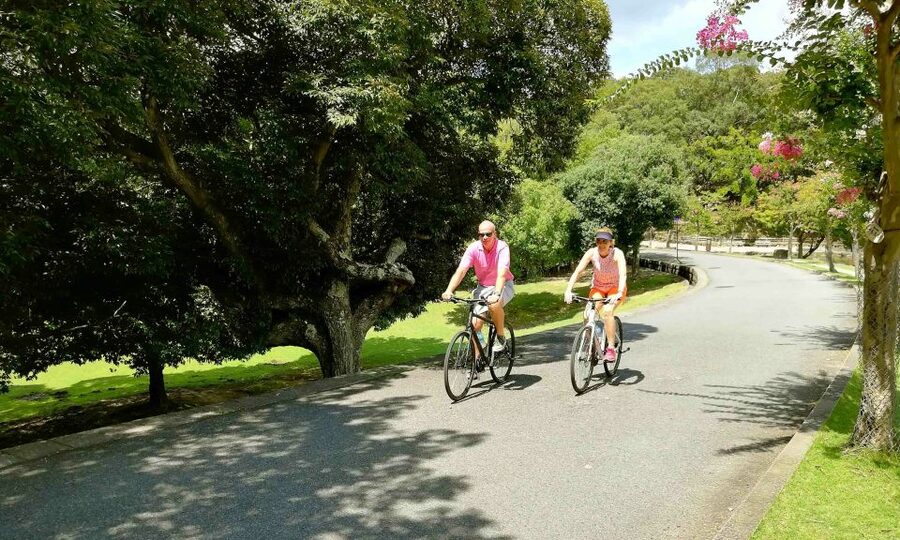 Nara: City Highlights Shared Group or Private Bike Tour - What the $70 price includes