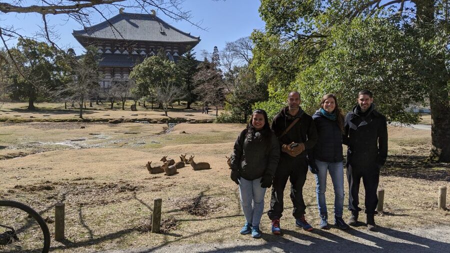 Nara: City Highlights Shared Group or Private Bike Tour - Ukimido and the first easy stretch