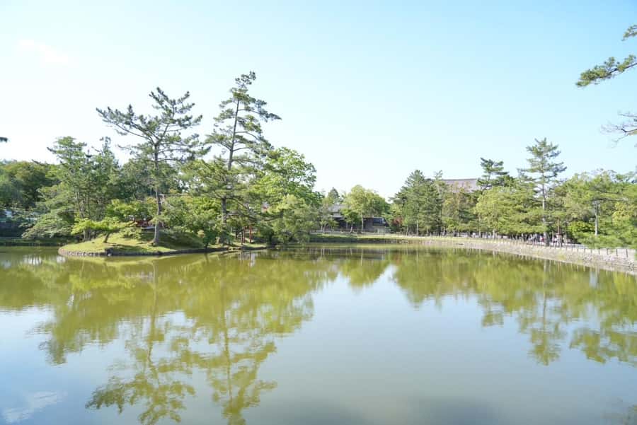 Nara Early Bird Tour (Kyoto Departure Option Available) - Kofuku-ji and the first look at old Nara