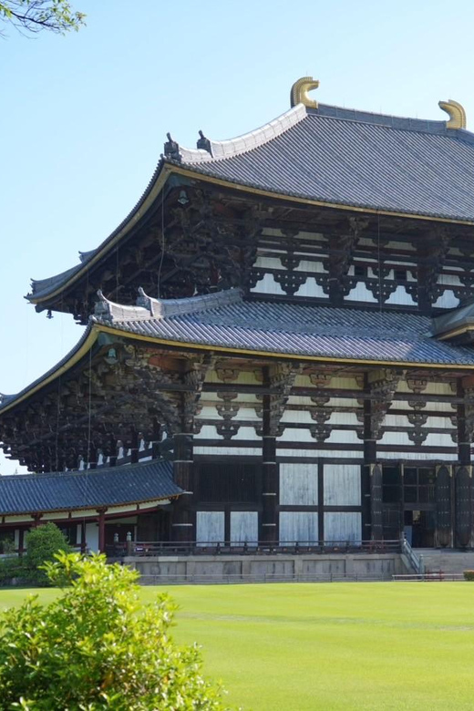 Nara Early Bird Tour (Kyoto Departure Option Available) - What the guides add to the morning
