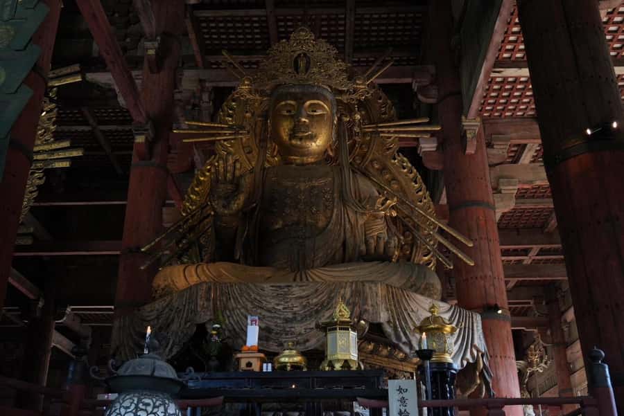 Nara Early Bird Tour (Kyoto Departure Option Available) - Is $88 a fair price?