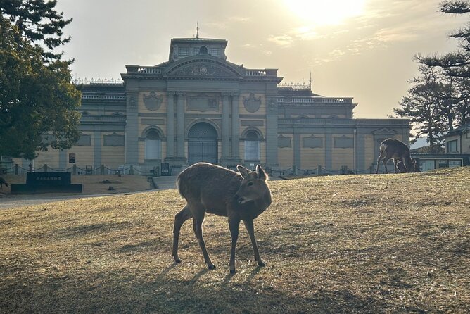 Nara Early Morning Tour (Kyoto or Osaka Departure Available) - Todaiji delivers the morning’s biggest sight