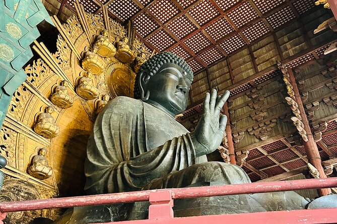 Nara Early Morning Tour (Kyoto or Osaka Departure Available) - Transport from Kyoto or Osaka, and the return plan